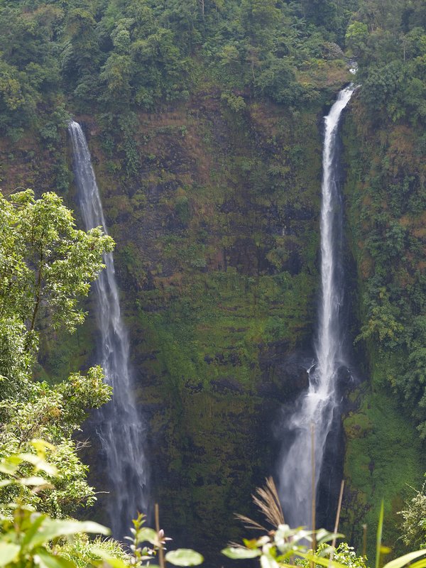 Bolaven Plateau